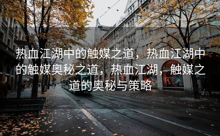 热血江湖中的触媒之道，热血江湖中的触媒奥秘之道，热血江湖，触媒之道的奥秘与策略