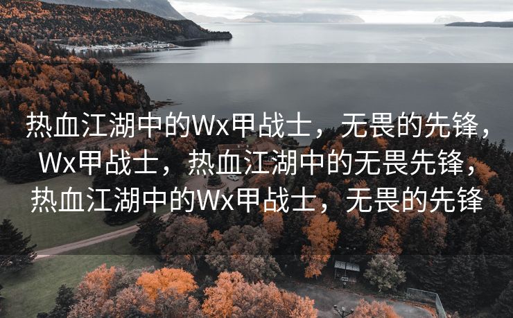 热血江湖中的Wx甲战士，无畏的先锋，Wx甲战士，热血江湖中的无畏先锋，热血江湖中的Wx甲战士，无畏的先锋
