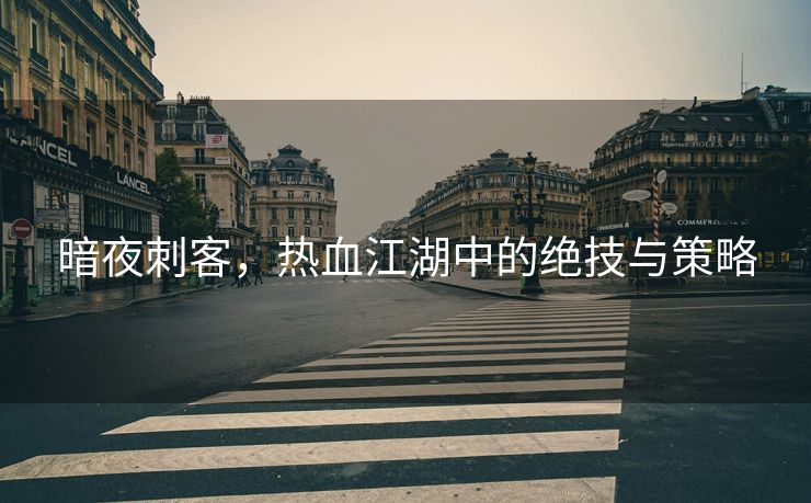 暗夜刺客，热血江湖中的绝技与策略